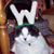 Julie Mackey East's profile image