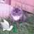 Vanessa Slattery's profile image