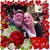 Sandra Lynn Williams's profile image