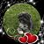 Anthony Giarrusso's profile image
