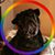 Arnel Santos Balones's profile image