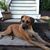 Steven Thor Cafone's profile image