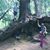 Tammy C. Wrzosek-Kline's profile image