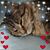 Nancy Bender's profile image