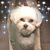 Betsy Halford's profile image