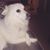 James McMahon's profile image