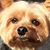 Linda Salek's profile image