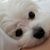 Peggy Elliott's profile image