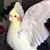 Emma Jones's profile image