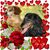 Pam Lord Moyers's profile image