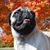 Brandi Buckalew Merchant's profile image