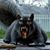 Jason Mitchell's profile image