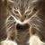 Chris Fenning's profile image