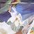 Laura Retes's profile image