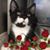 Elaine Pearce Dukin's profile image