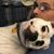 Susan Smith Abraham's profile image