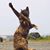 Paula Northway Poland's profile image