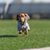 Jessica Roeder's profile image