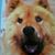 Melody Wilmot's profile image