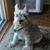 Debbie Cowen-Matthews's profile image