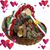 Don Jose's profile image