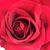 Brenda Howell Jones's profile image
