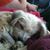 Janice Mead's profile image