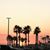 C Maritza Aguirre's profile image
