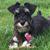 Jeannine Ann's profile image