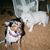 Diane Merrill Jones's profile image