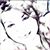 Tishri Lennon's profile image