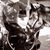 Jack Muirhede's profile image