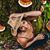 Nicolina Ruiz's profile image