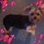 Cynthia Rayborn Rich's profile image