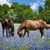 Heather Rainier's profile image