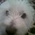 Connie Hartley LaFlamme's profile image