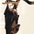 Penny Hunt's profile image
