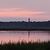 Susan Spach's profile image