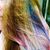 Dawn Pruitt Headrick's profile image