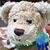 Bruno Bär's profile image