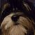 Leslie Campbell Bennett's profile image