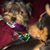 Brenda Fisher Ramage's profile image