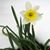 Cathy Baker Stimmel's profile image