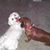 Nonie Larson Blue's profile image