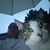 Scott R Bell's profile image