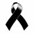 Patricia Arias's profile image