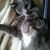 Marsy Blazek's profile image