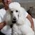 Dave Owens's profile image