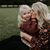 Stephanie Hoch Rauch's profile image