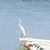 Linda Tindle's profile image
